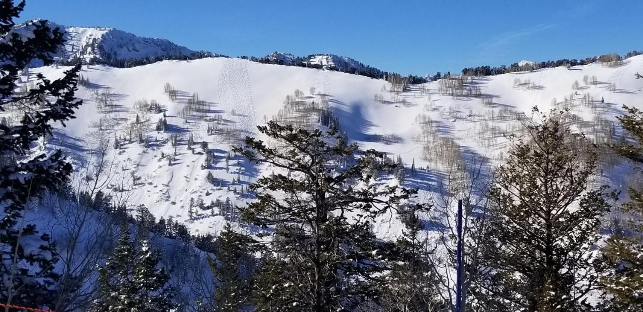 Stunning At Solitude, Steps From Chair Lift, East #103 Brighton Buitenkant foto